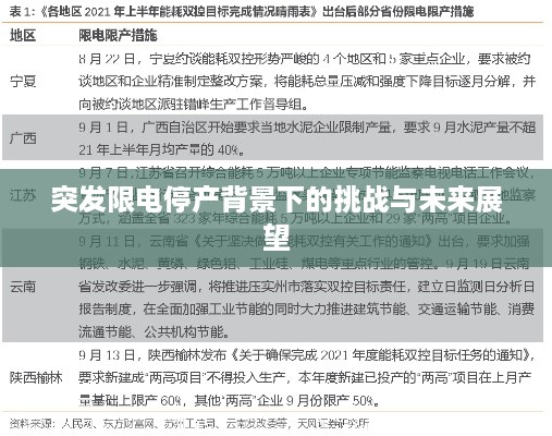 突发限电停产背景下的挑战与未来展望