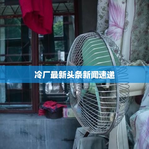 冷厂最新头条新闻速递