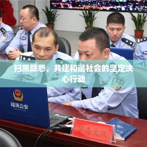 扫黑除恶，共建和谐社会的坚定决心行动