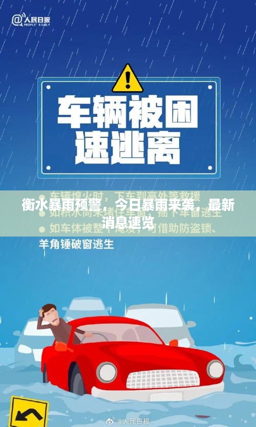 衡水暴雨预警，今日暴雨来袭，最新消息速览