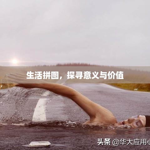 生活拼图，探寻意义与价值