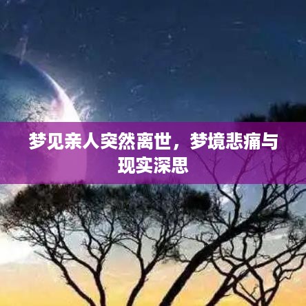 梦见亲人突然离世，梦境悲痛与现实深思