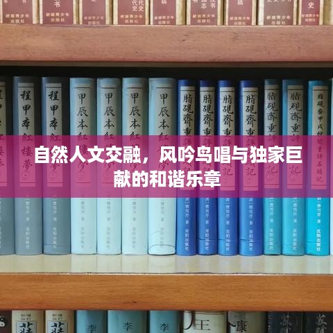 自然人文交融，风吟鸟唱与独家巨献的和谐乐章