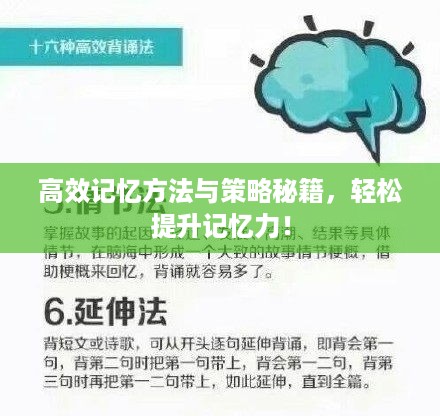 高效记忆方法与策略秘籍，轻松提升记忆力！