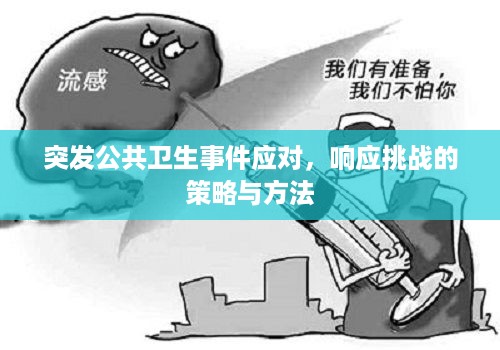 突发公共卫生事件应对，响应挑战的策略与方法