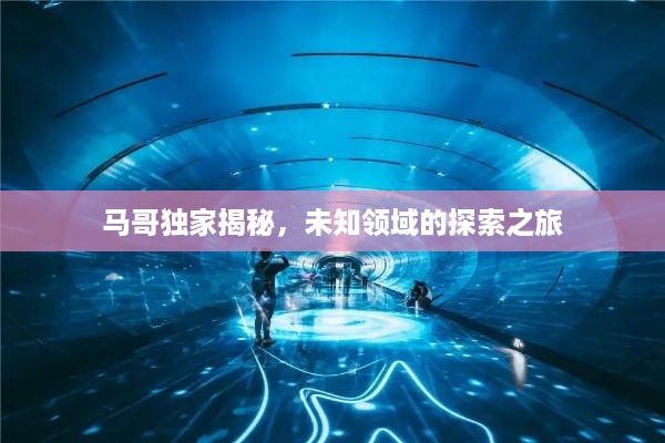 马哥独家揭秘，未知领域的探索之旅