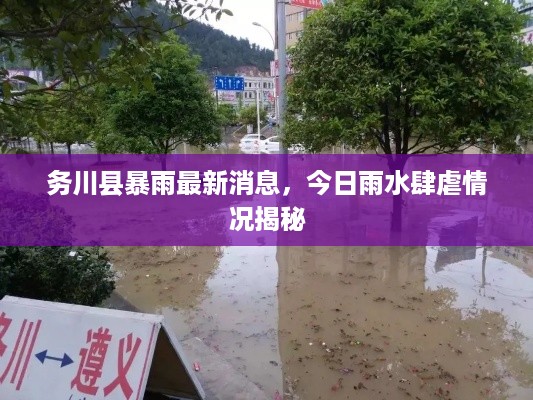 务川县暴雨最新消息，今日雨水肆虐情况揭秘