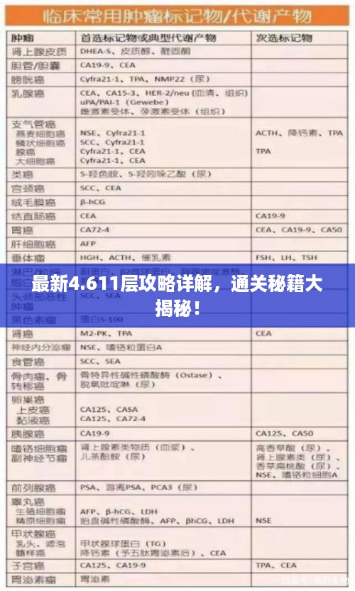 最新4.611层攻略详解，通关秘籍大揭秘！