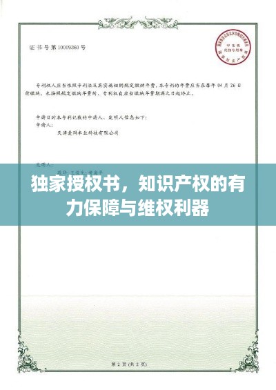 独家授权书，知识产权的有力保障与维权利器